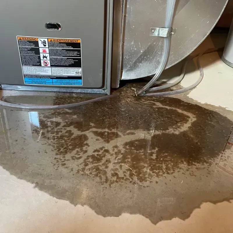 Appliance Leak Cleanup in Tujunga, CA